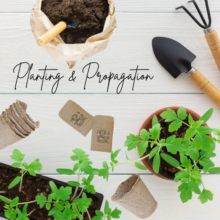 Planting & Propagation