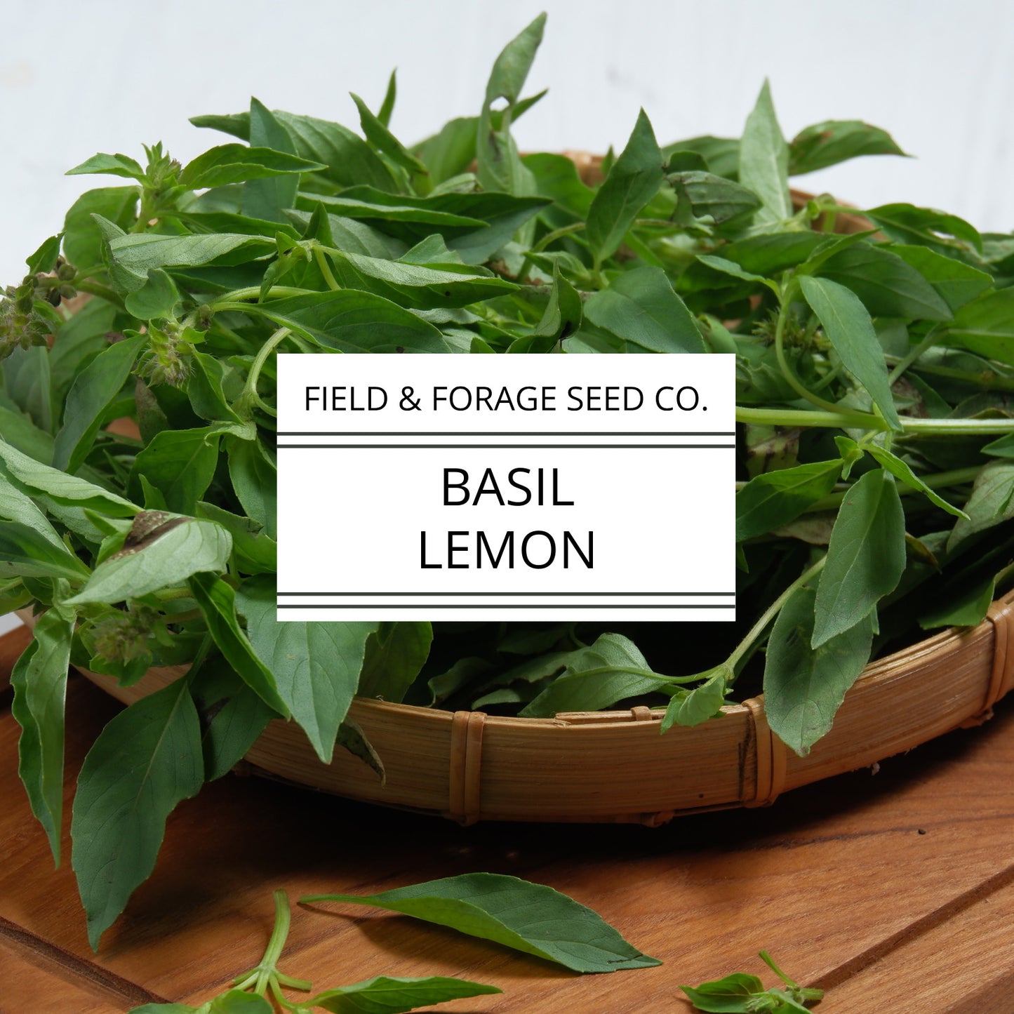 Basil 'Lemon' | Ocimum basilicum var. citriodorum | Heirloom | Non-GMO | 100 Seeds