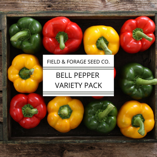 Bell Pepper Heirloom Seeds Variety Pack | Non-GMO Vegetable Seeds | 25 Seeds