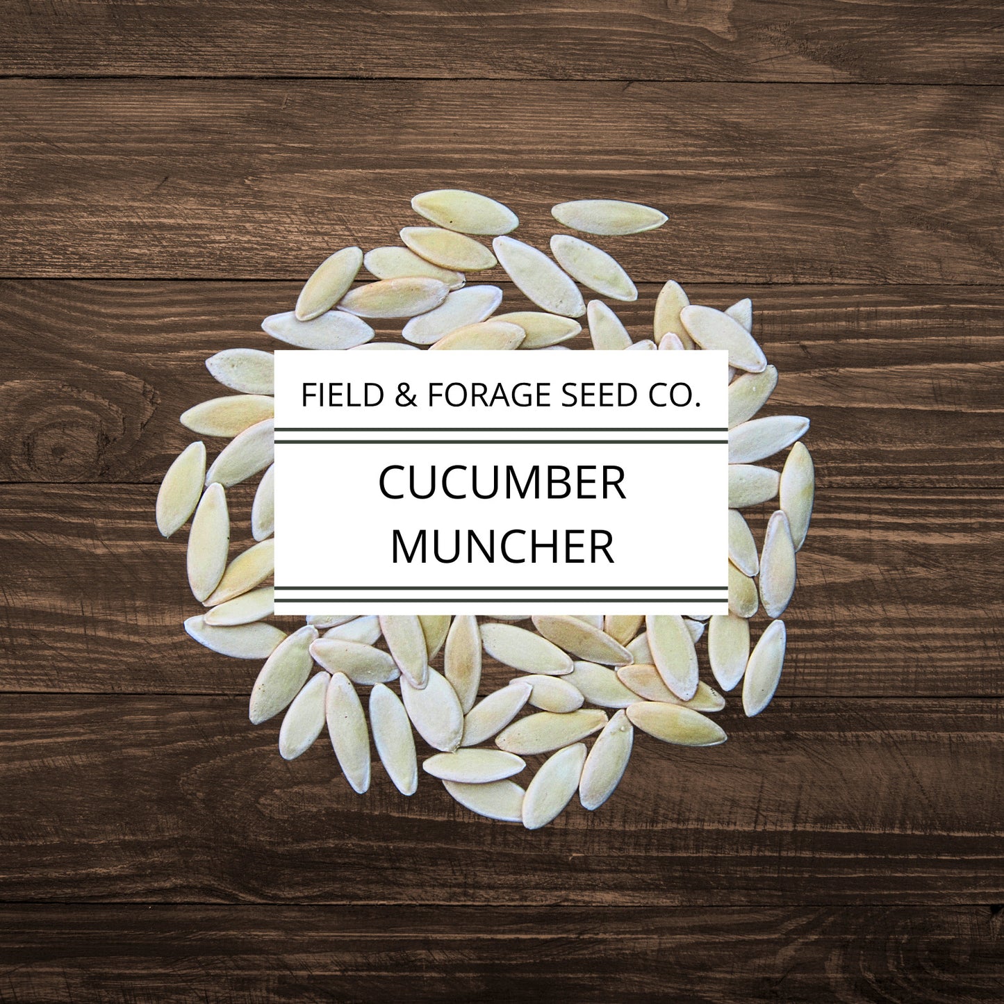 Cucumber Muncher | Cucumis sativus ‘Muncher’ | Sweet, Burpless Heirloom | Non-GMO | 30 Seeds