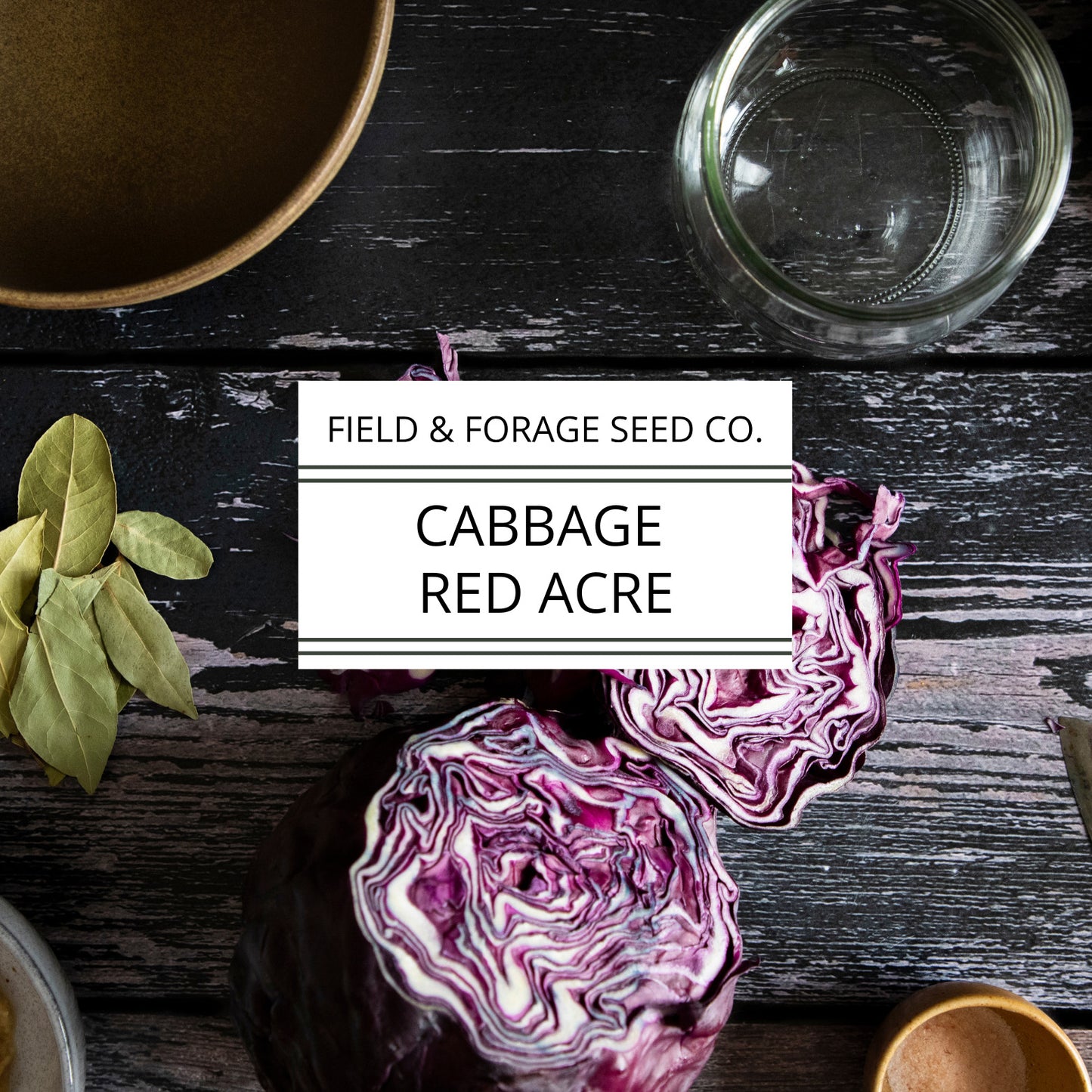 Cabbage 'Red Acre' | Brassica oleracea | Heirloom | Non-GMO | 200 Seeds