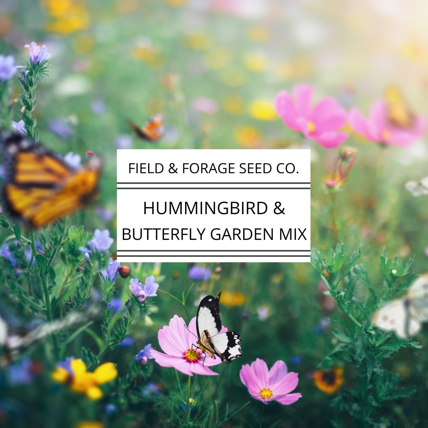 Hummingbird and Butterfly Garden Mix | Wildflower Blend | Heirloom | Non-GMO | 400 Seeds