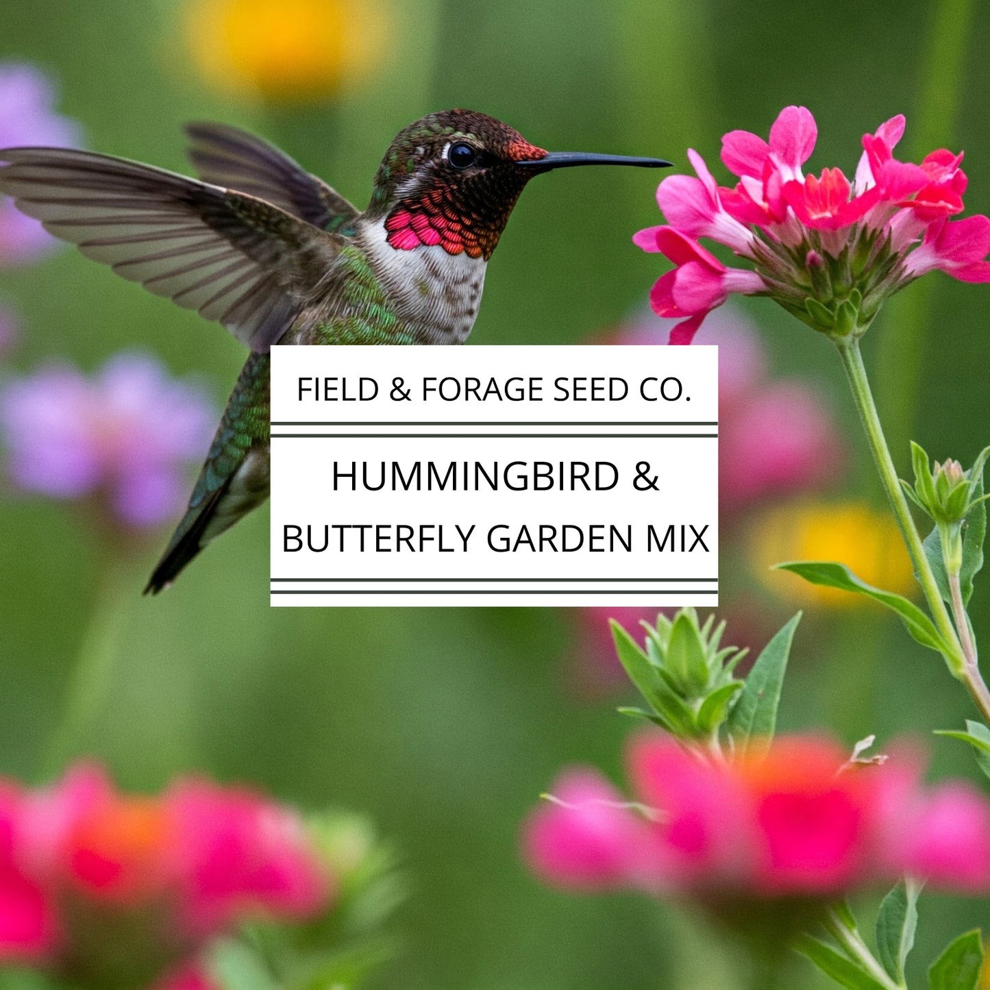 Hummingbird and Butterfly Garden Mix | Wildflower Blend | Heirloom | Non-GMO | 400 Seeds