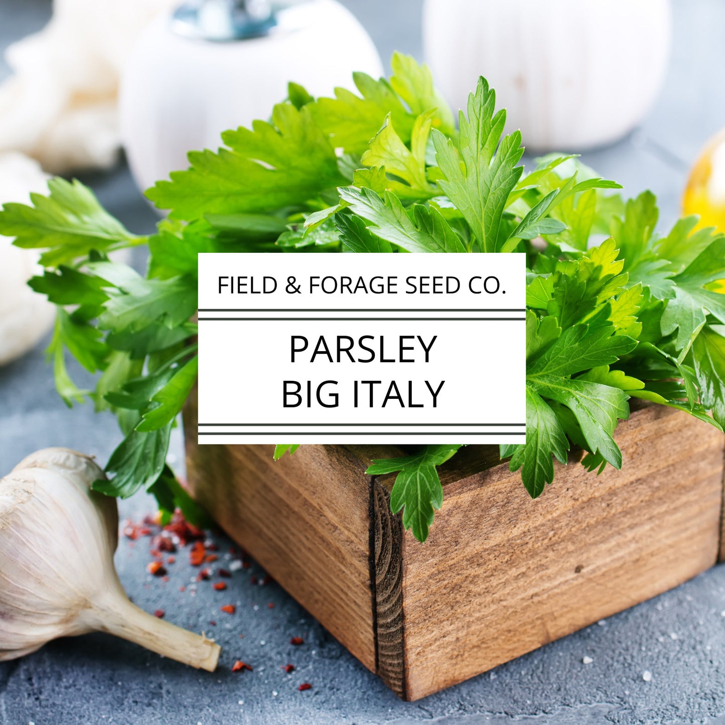 Parsley 'Big Italy' | Petroselinum crispum | Heirloom | Non-GMO | 100 Seeds