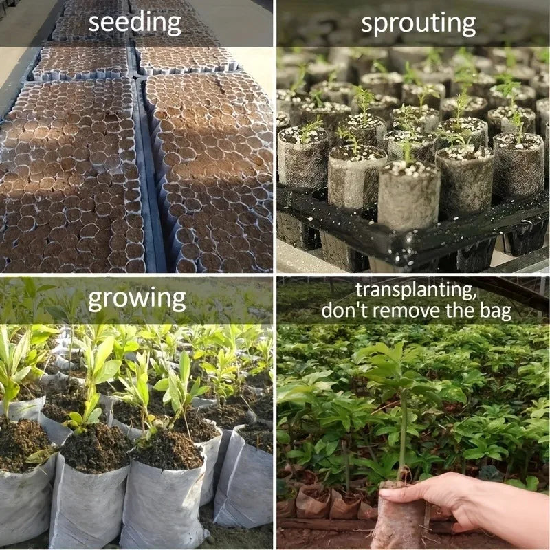 Biodegradable Seedling Grow Bags | 100-Pack Non-Woven Fabric Pots | 8x10 cm | Eco-Friendly for Seed Starting & Transplanting
