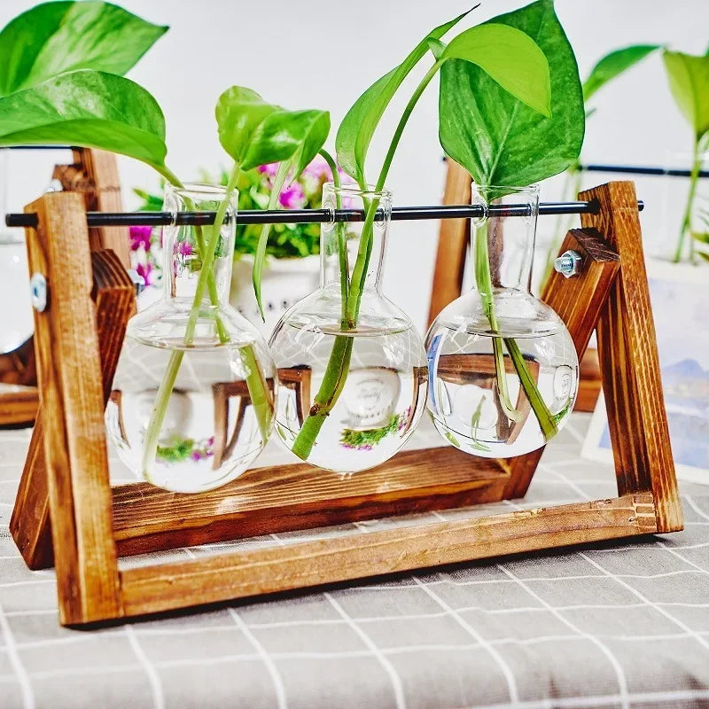 Plant Propagation Station | Wooden Stand with Glass Bulb Vases | Vintage Indoor Hydroponic Planter | 1, 2, or 3 Bulb Holder