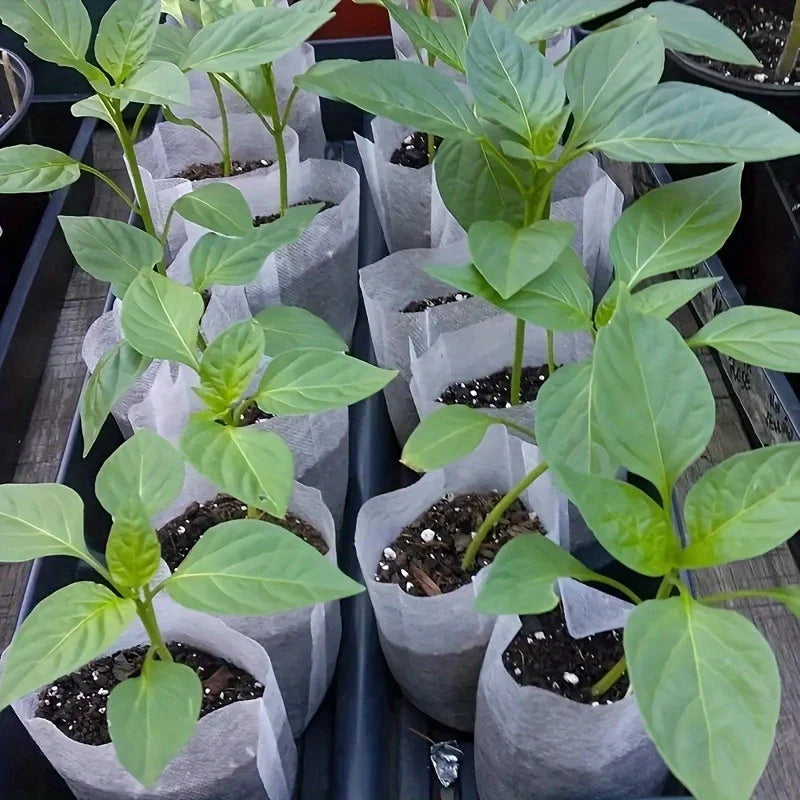 Biodegradable Seedling Grow Bags | 100-Pack Non-Woven Fabric Pots | 8x10 cm | Eco-Friendly for Seed Starting & Transplanting