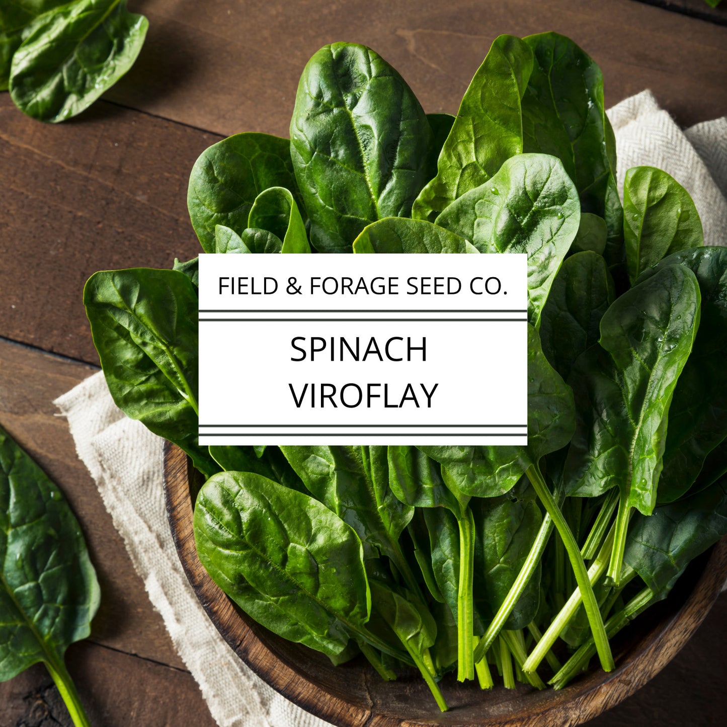 Spinach 'Viroflay' | Spinacia oleracea |Giant French Heirloom | Non-GMO | 200 Seeds