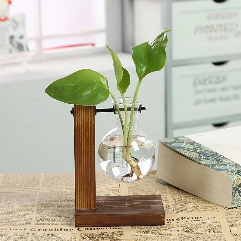 Wood & Glass Propagation Station
