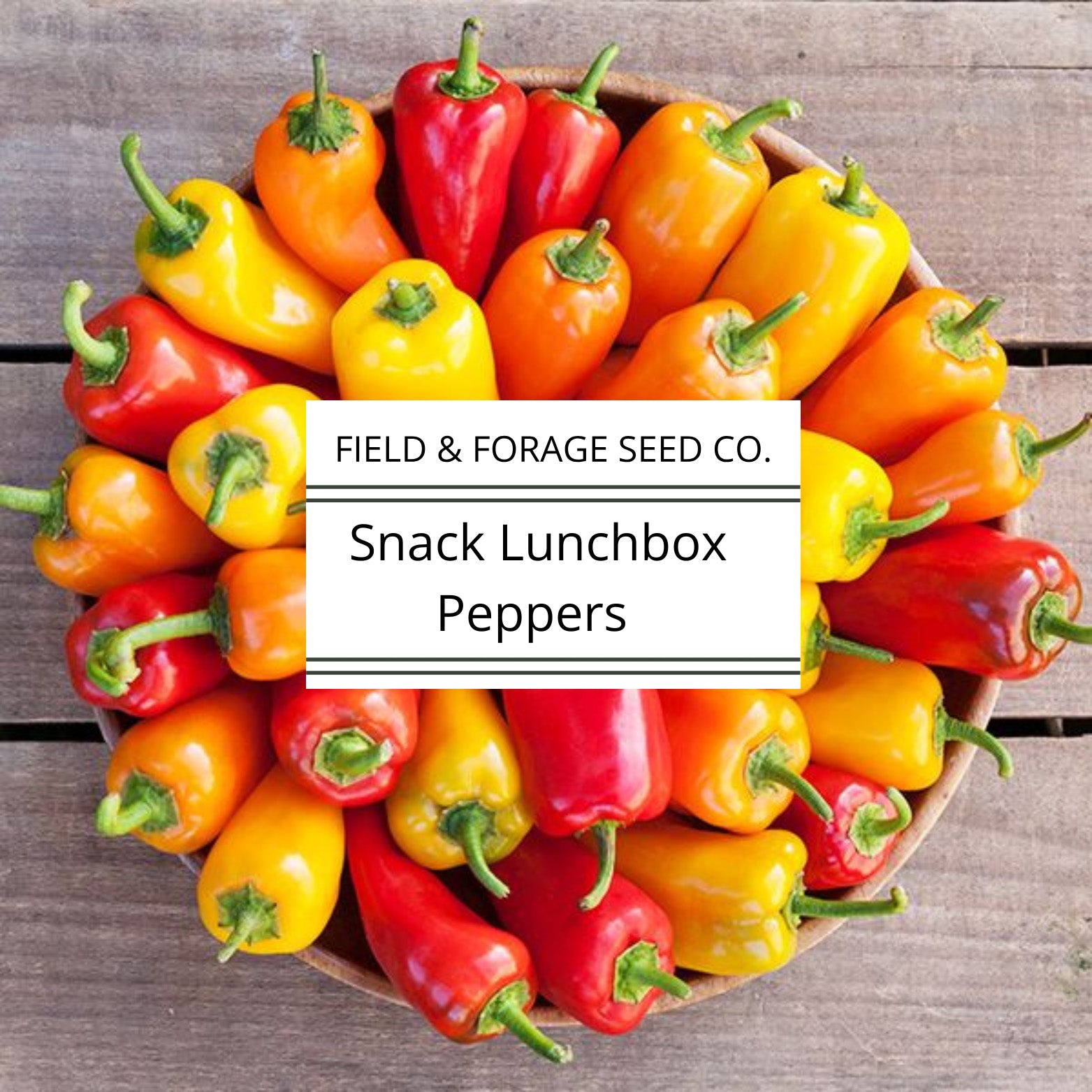 pepper seeds for planting Lunchbox Sweet Pepper Seeds | Heirloom | Non-GMO Vegetable Seeds