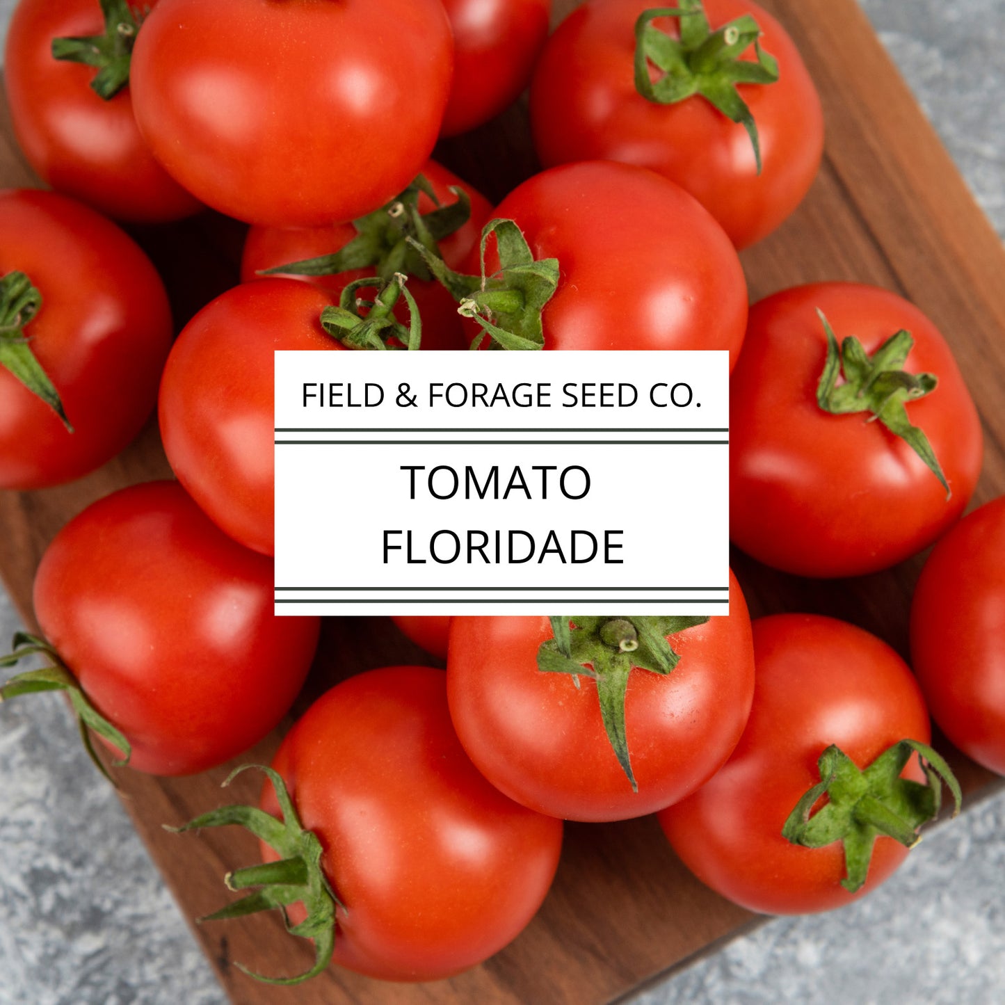 Tomato Campbell’s 33 – Classic Canning & Slicing Tomato | Determinate Heirloom | Non-GMO – 35 Seeds