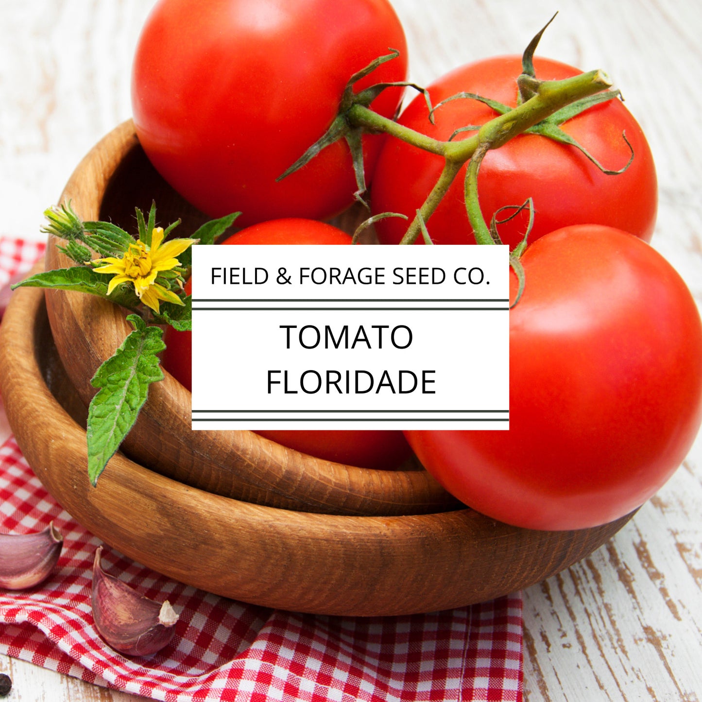 Tomato Campbell’s 33 – Classic Canning & Slicing Tomato | Determinate Heirloom | Non-GMO – 35 Seeds