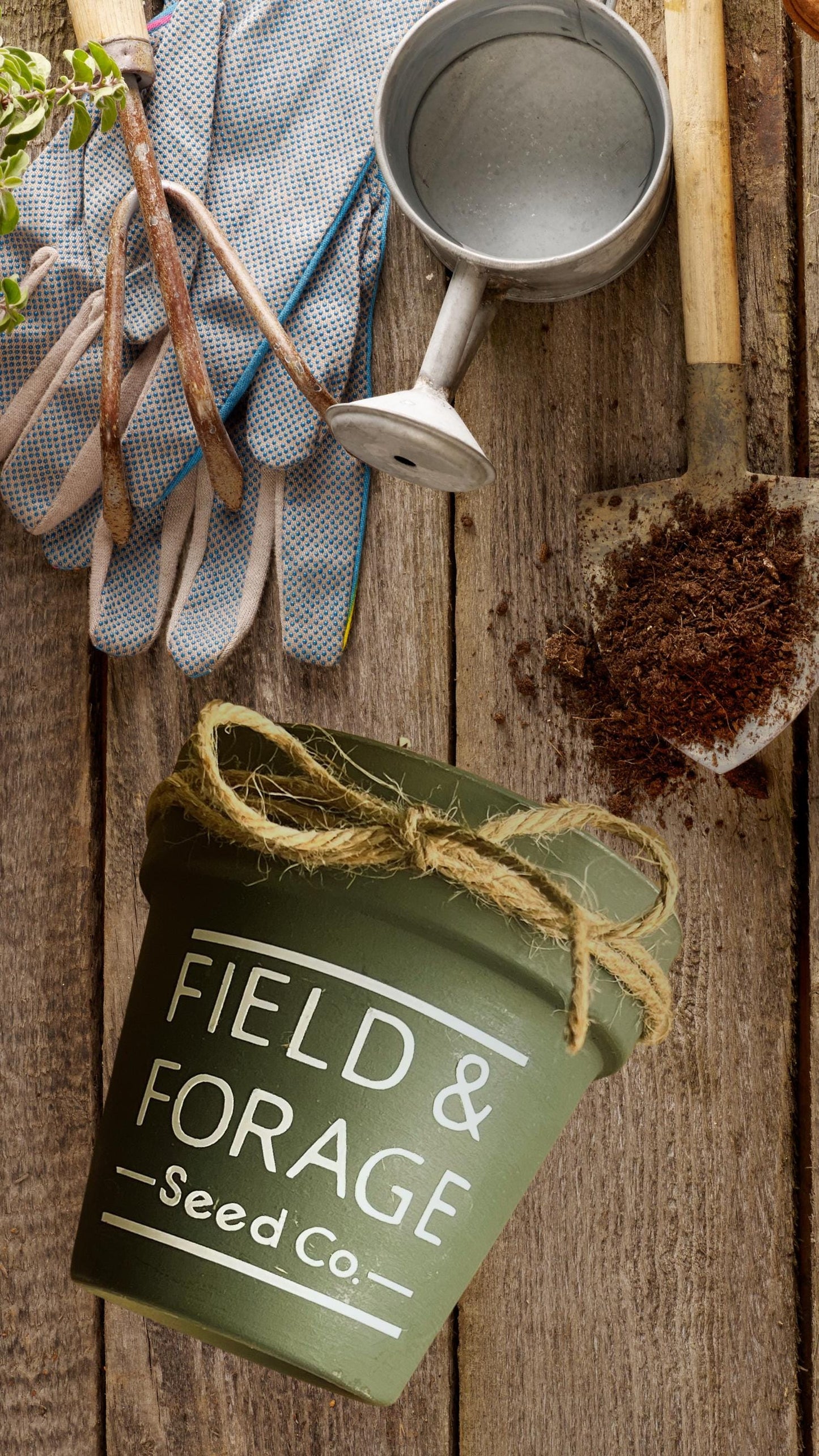 Handcrafted Herb Marker & Seed Gift Set | Rustic Garden Signs with Basil, Mint and Thyme Seeds