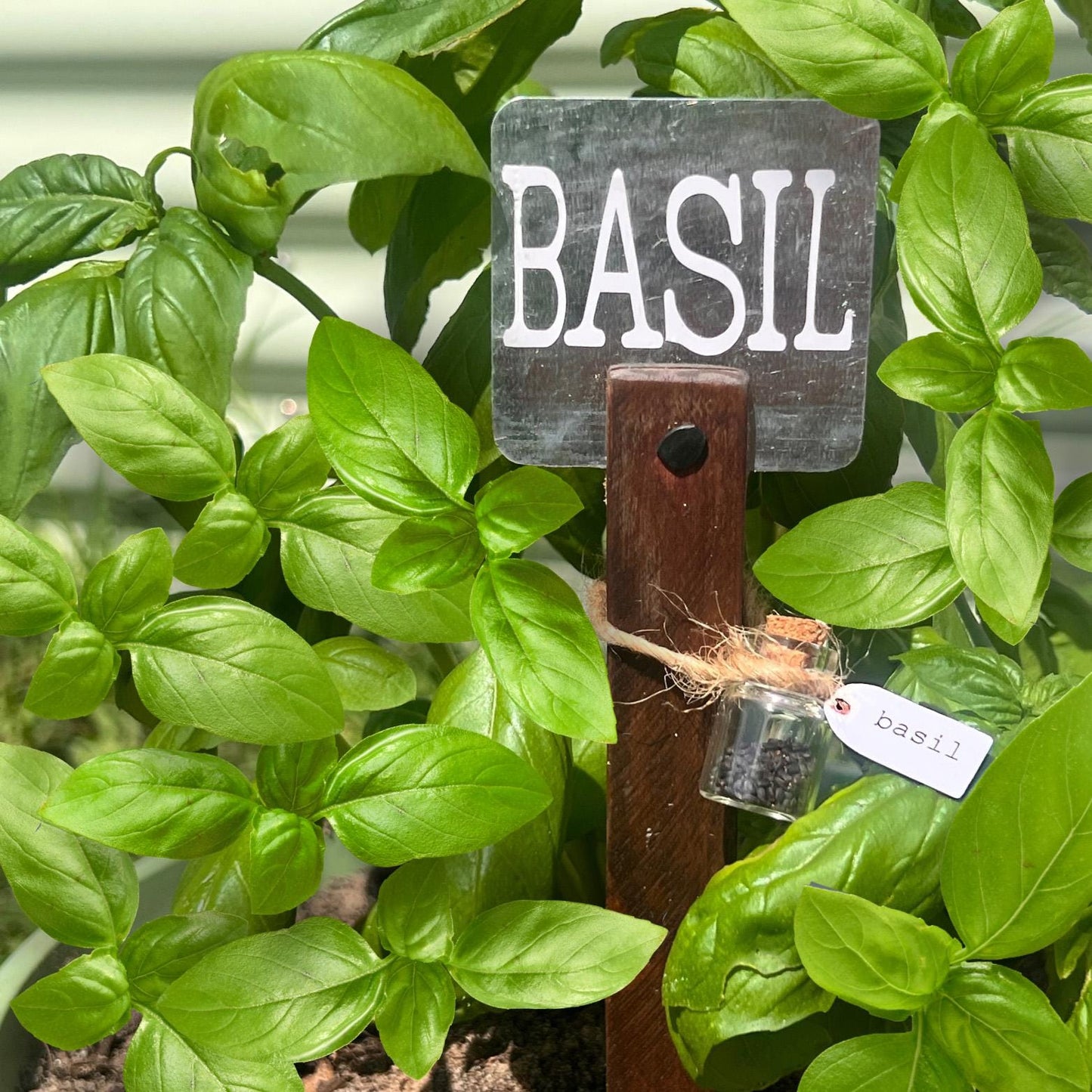Handcrafted Herb Marker & Seed Gift Set | Rustic Garden Signs with Basil, Mint and Thyme Seeds