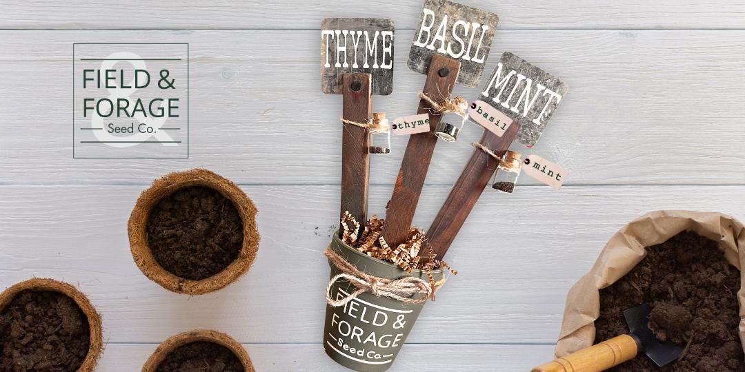 Handcrafted Herb Marker & Seed Gift Set | Rustic Garden Signs with Basil, Mint and Thyme Seeds