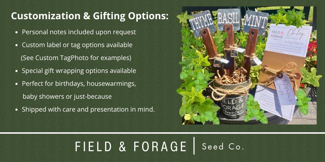 Handcrafted Herb Marker & Seed Gift Set | Rustic Garden Signs with Basil, Mint and Thyme Seeds