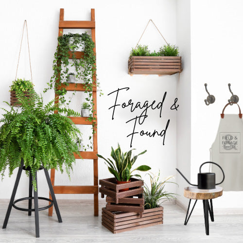 Foraged & Found