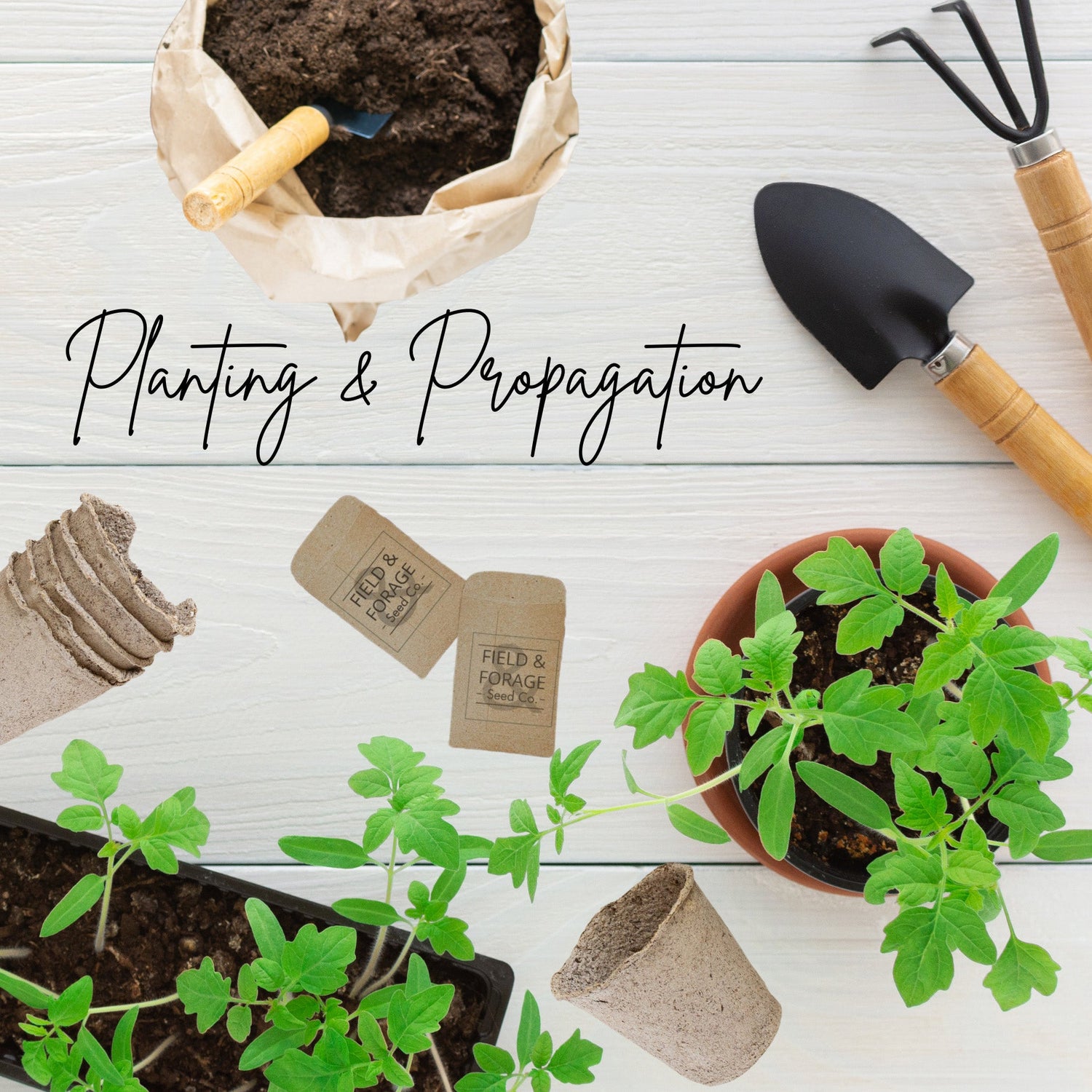 Planting & Propagation