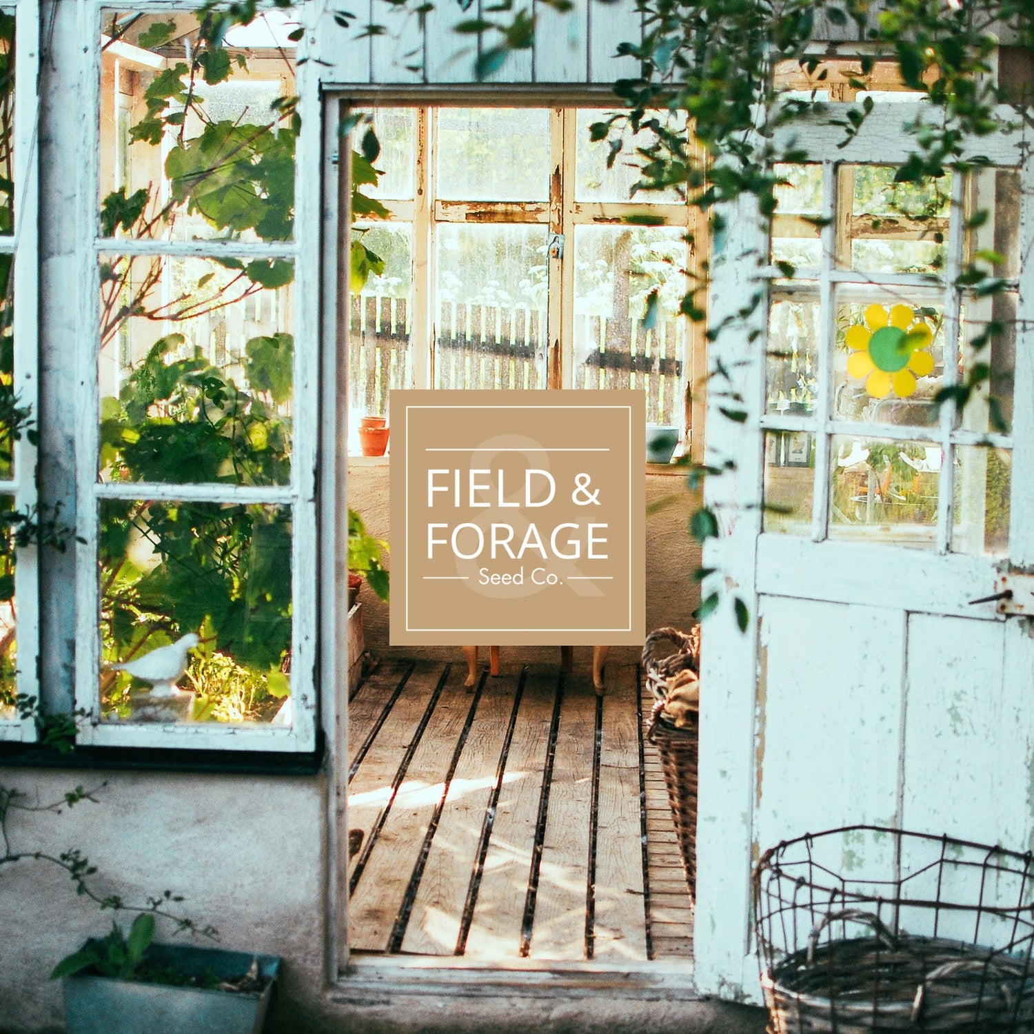 Seed Shop
