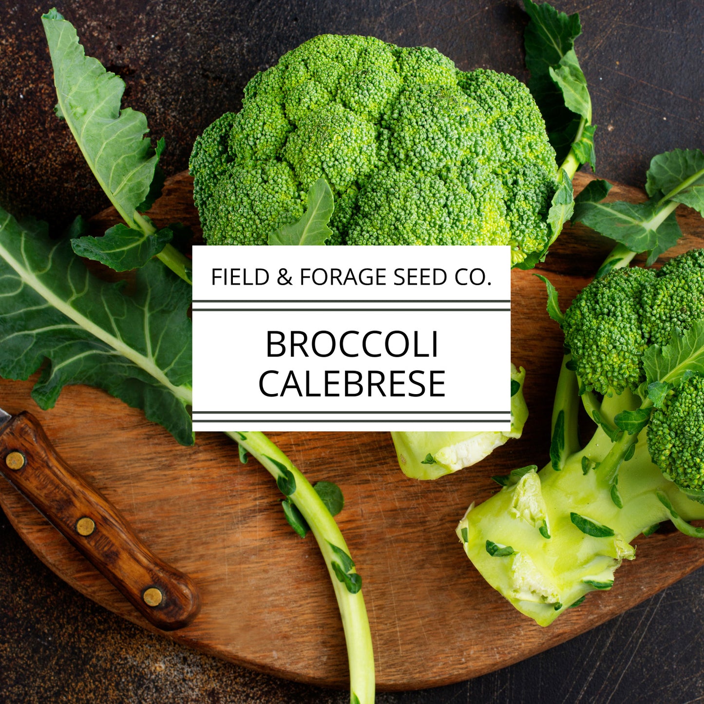 Cabbage ‘Copenhagen Market’ | Brassica oleracea var. capitata |  Non-GMO | 300 Seeds