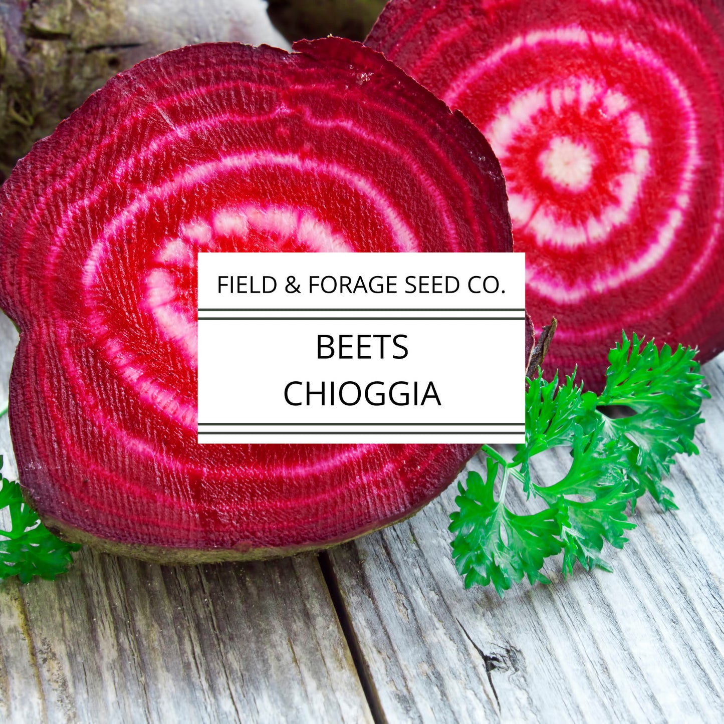 Chioggia Beet Seeds | Italian Candy Stripe Heirloom | Sweet Root Vegetable | Non-GMO | 100 Seeds
