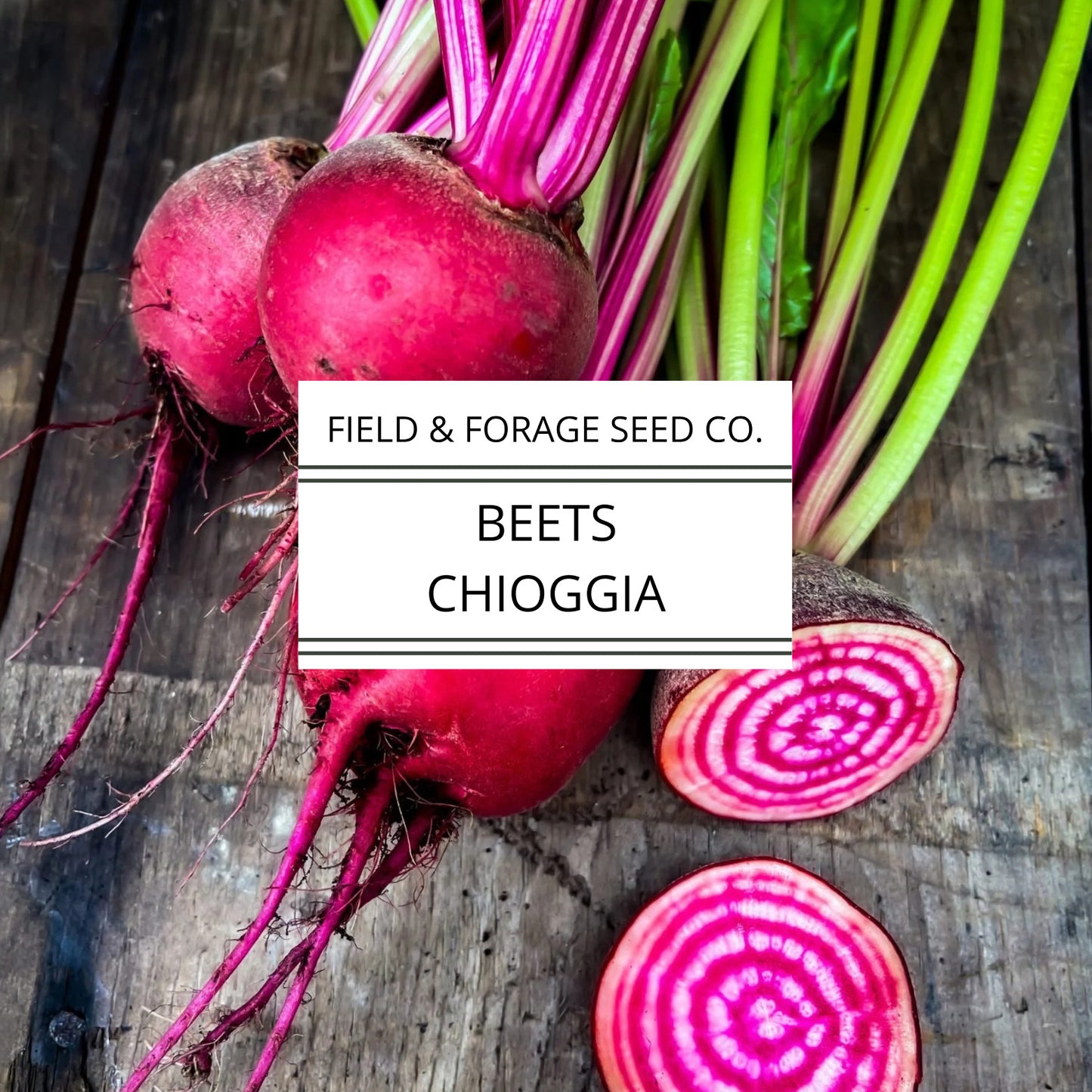 Chioggia Beet Seeds | Italian Candy Stripe Heirloom | Sweet Root Vegetable | Non-GMO | 100 Seeds