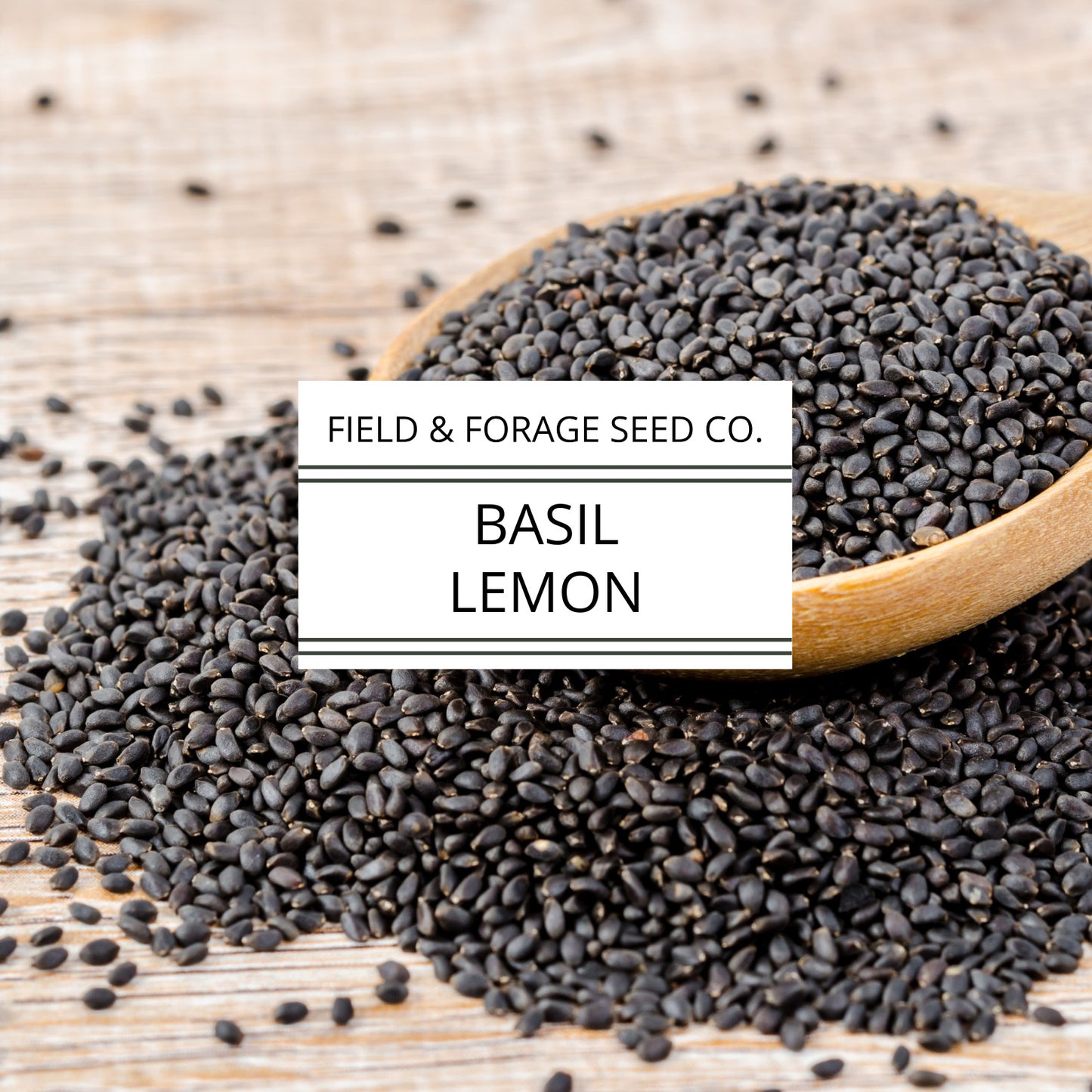 Basil 'Lemon' | Ocimum basilicum var. citriodorum | Heirloom | Non-GMO | 100 Seeds