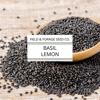 Basil 'Lemon' | Ocimum basilicum var. citriodorum | Heirloom | Non-GMO | 100 Seeds