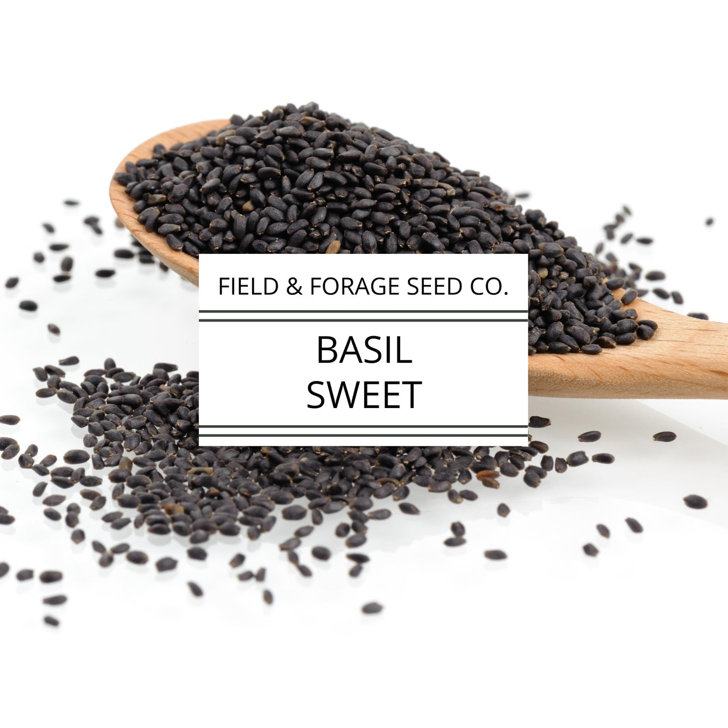 Basil 'Sweet' | Ocimum basilicum | Heirloom | Non-GMO | 100 Seeds