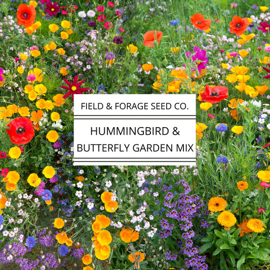 Hummingbird and Butterfly Garden Mix | Wildflower Blend | Heirloom | Non-GMO | 400 Seeds