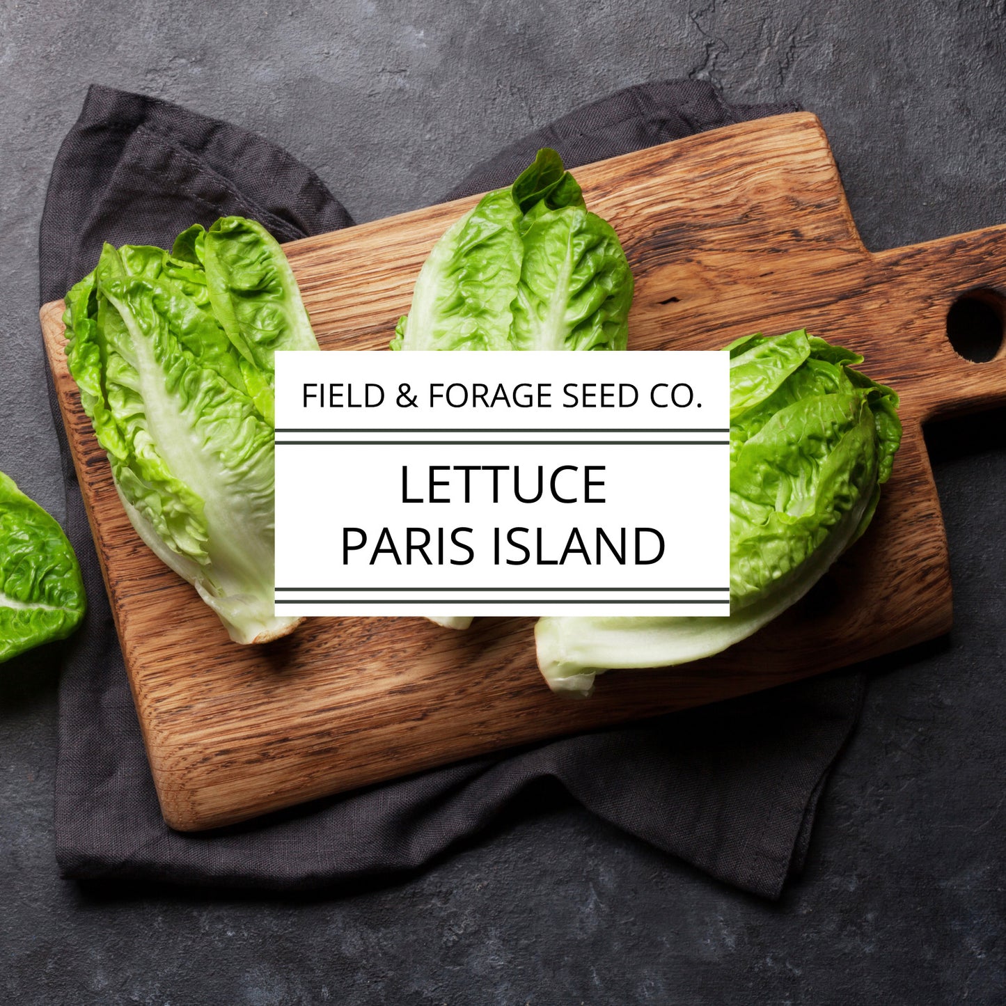 Lettuce 'Paris Island Cos' (Romaine) | Lactuca sativa | Heirloom | Non-GMO | 500 Seeds