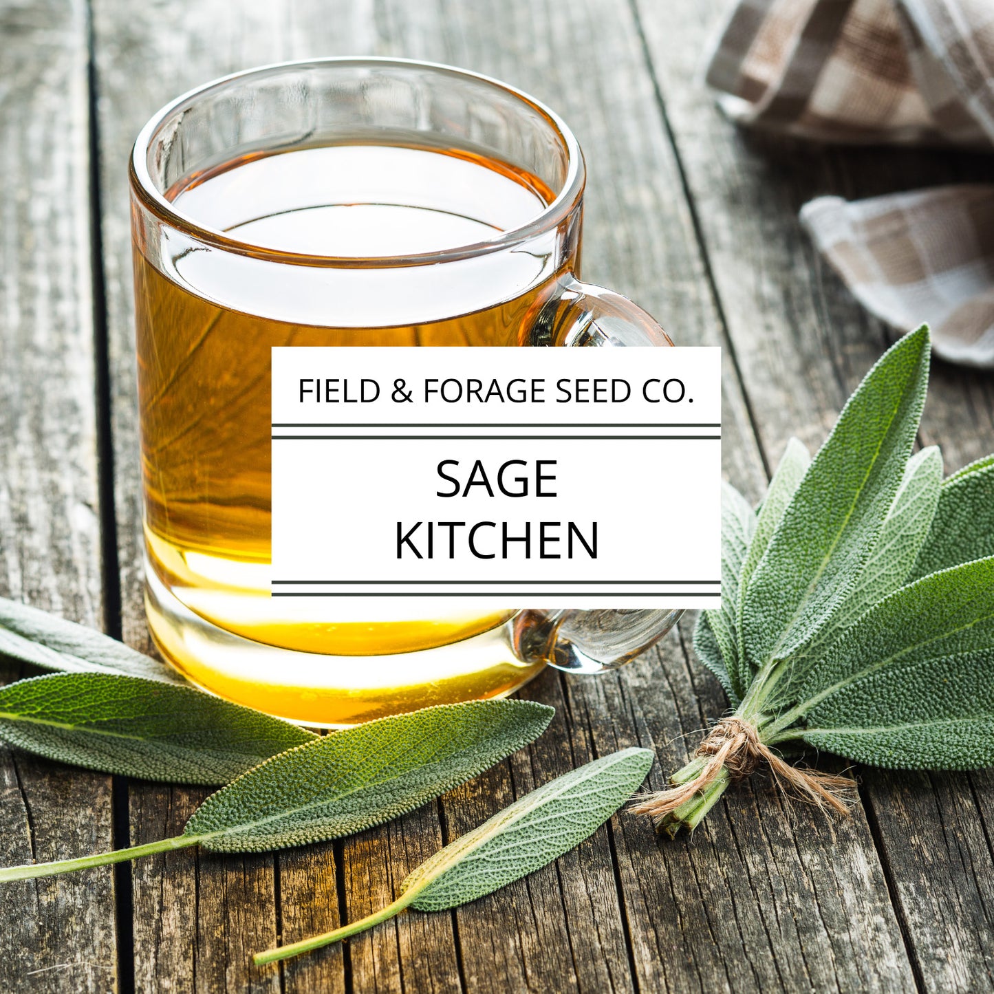 Sage 'Kitchen' | Salvia officinalis | Heirloom | Non-GMO | 100 Seeds
