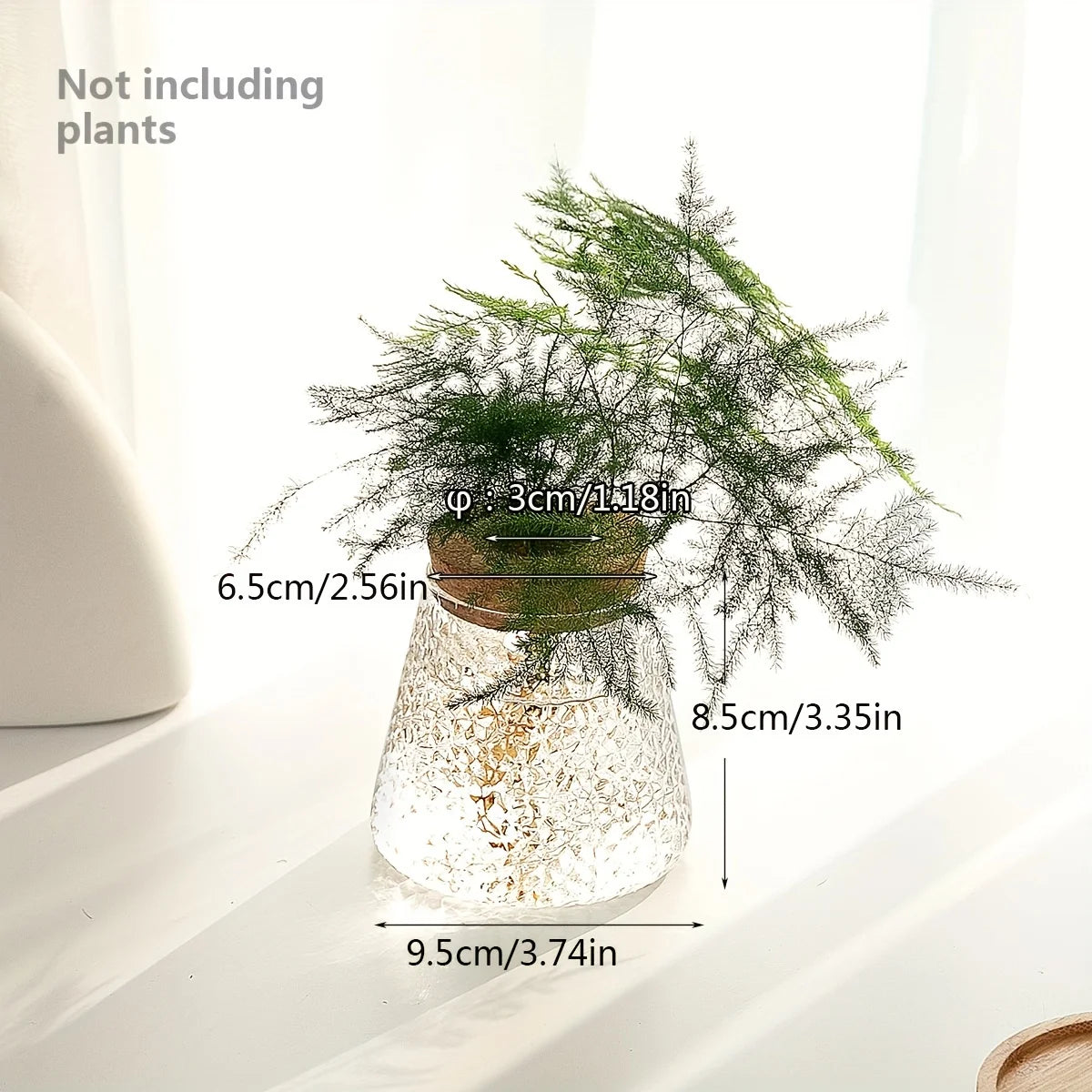 Glass Propagation Bulb Vase with Cork Stopper | Clear or Textured Glass | Hydroponic Rooting Jar for Plant Cuttings