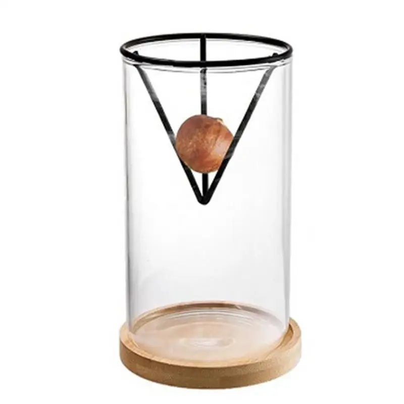 Avocado Tree Growing Kit | Glass Germination Vase with Metal Stand & Bamboo Lid | Watch Your Avocado Sprout Indoors