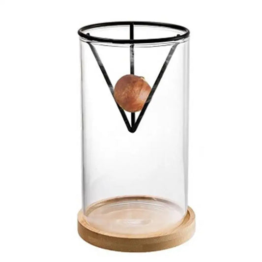 Avocado Tree Growing Kit | Glass Germination Vase with Metal Stand & Bamboo Lid | Watch Your Avocado Sprout Indoors
