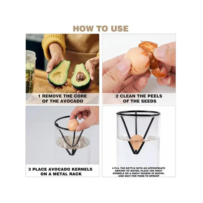 Avocado Tree Growing Kit | Glass Germination Vase with Metal Stand & Bamboo Lid | Watch Your Avocado Sprout Indoors