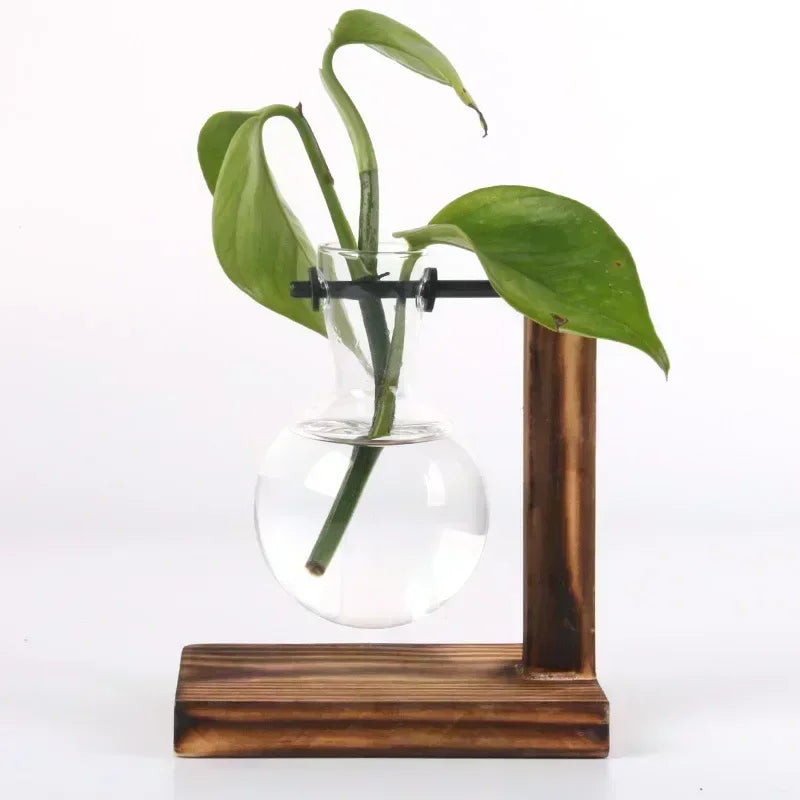 Wood & Glass Propagation Station