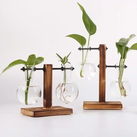 Wood & Glass Propagation Station – Modern Rooting Stand for Indoor Plants | Rustic Tabletop Decor | Field & Forage Collection