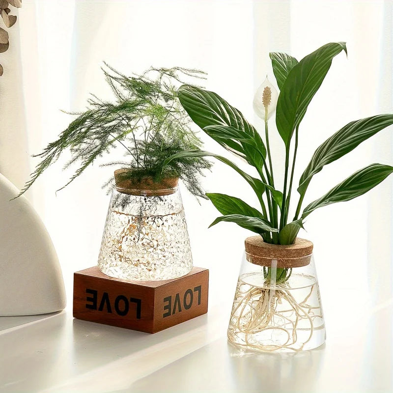Glass Propagation Bulb Vase with Cork Stopper | Clear or Textured Glass | Hydroponic Rooting Jar for Plant Cuttings
