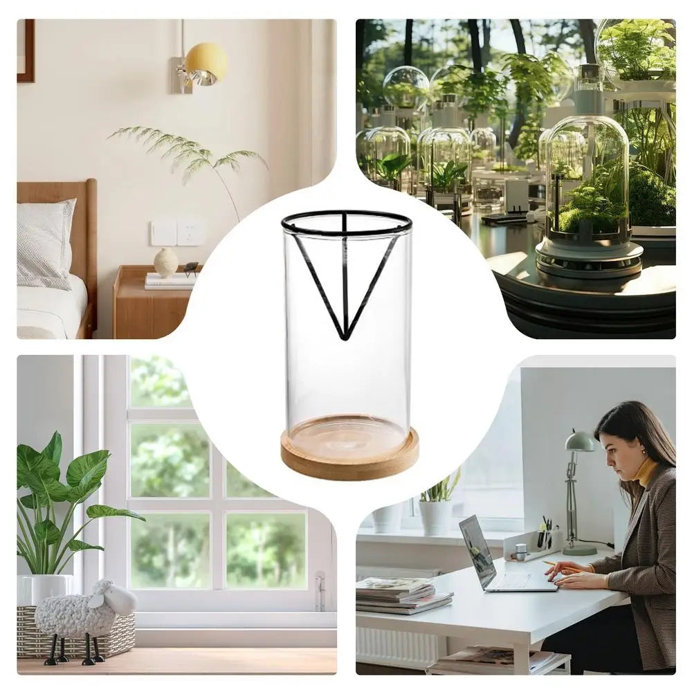 Avocado Tree Growing Kit | Glass Germination Vase with Metal Stand & Bamboo Lid | Watch Your Avocado Sprout Indoors