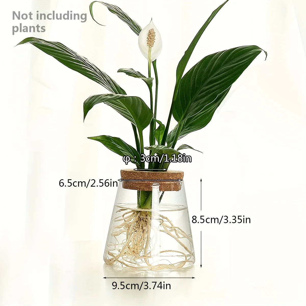 Glass Propagation Bulb Vase with Cork Stopper | Clear or Textured Glass | Hydroponic Rooting Jar for Plant Cuttings