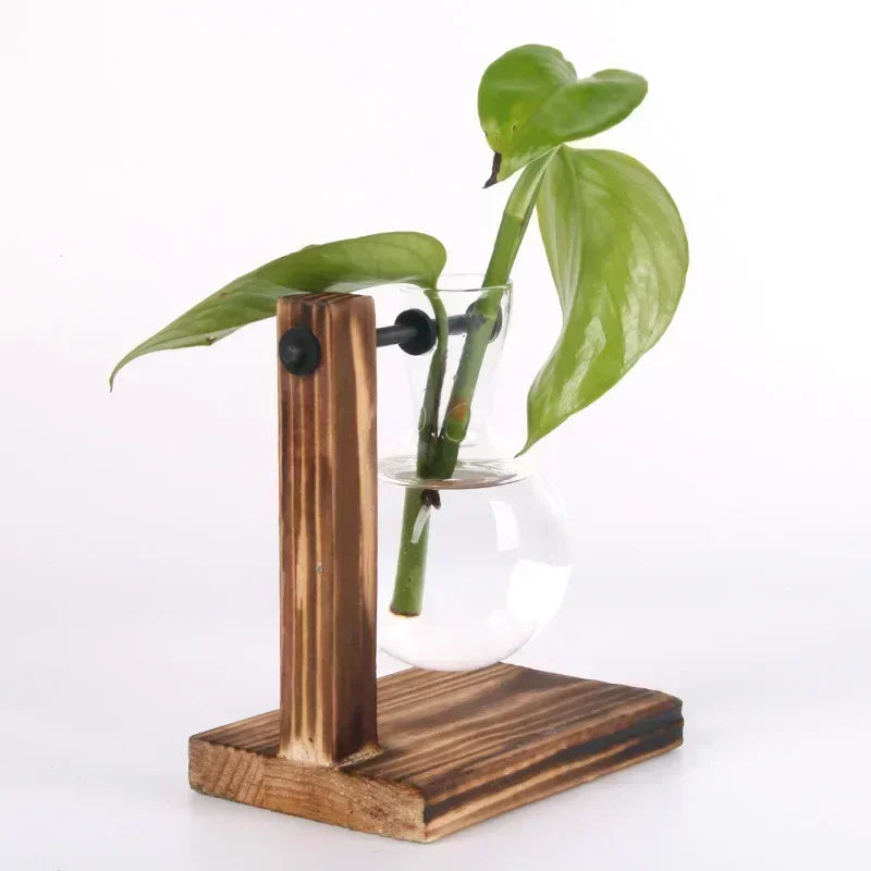 Wood & Glass Propagation Station