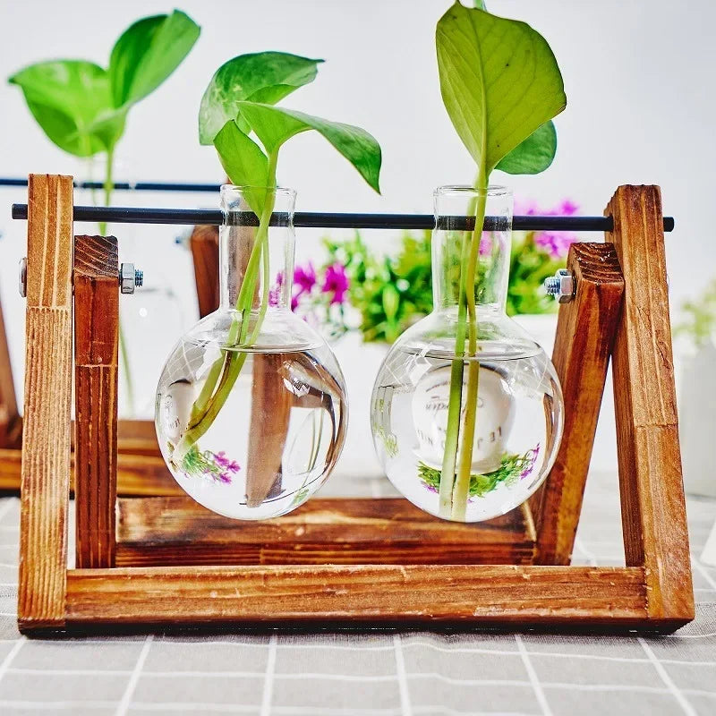 Plant Propagation Station | Wooden Stand with Glass Bulb Vases | Vintage Indoor Hydroponic Planter | 1, 2, or 3 Bulb Holder