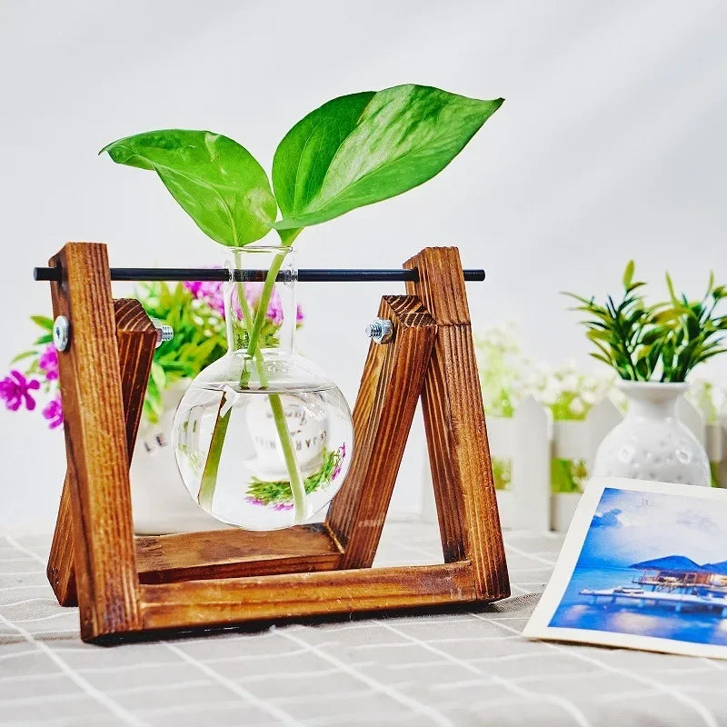 Plant Propagation Station | Wooden Stand with Glass Bulb Vases | Vintage Indoor Hydroponic Planter | 1, 2, or 3 Bulb Holder