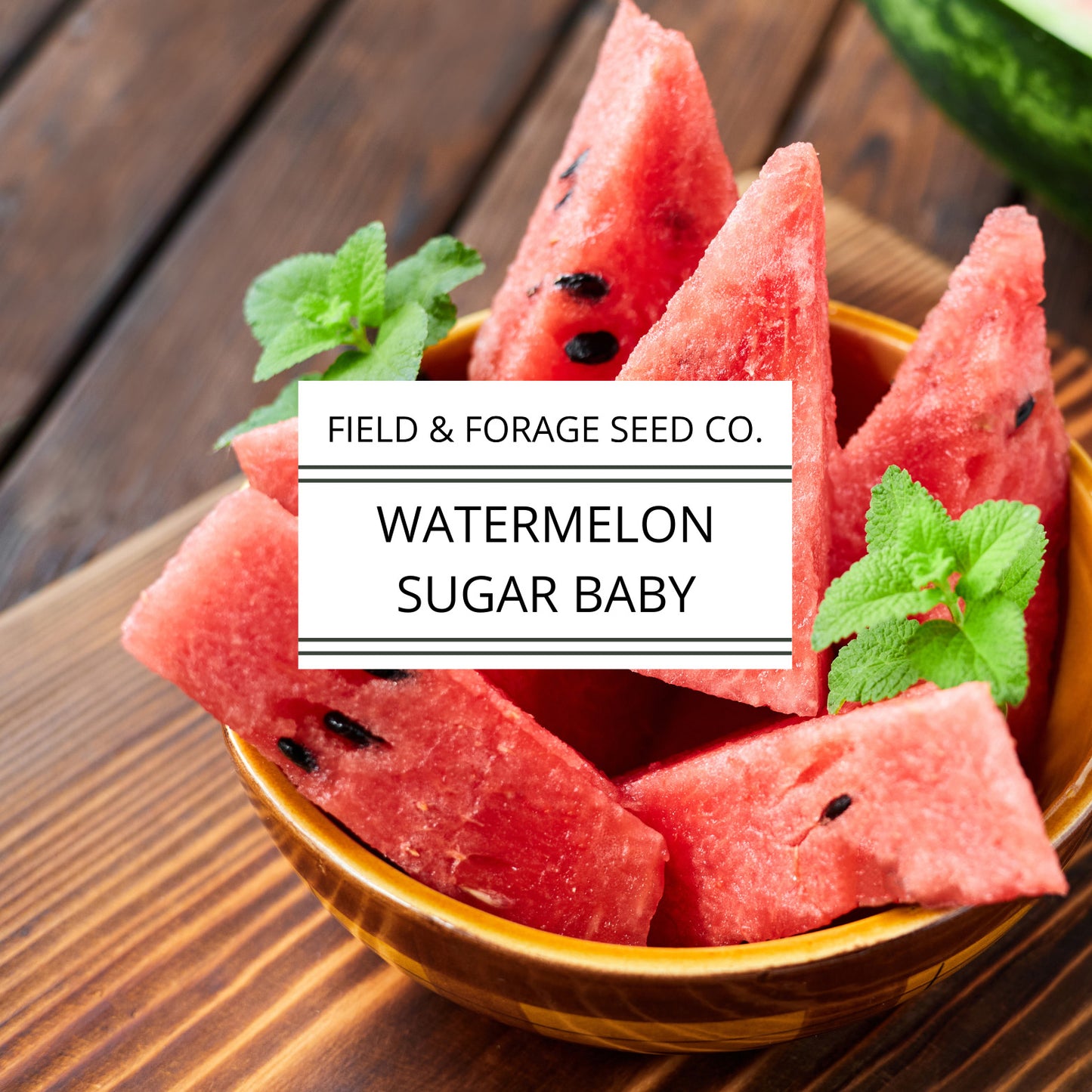 Watermelon Sugar Baby Seeds | Small Sweet Heirloom | Non-GMO | 50 Seeds