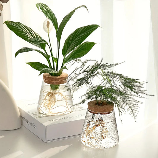 Glass Propagation Bulb Vase with Cork Stopper | Clear or Textured Glass | Hydroponic Rooting Jar for Plant Cuttings