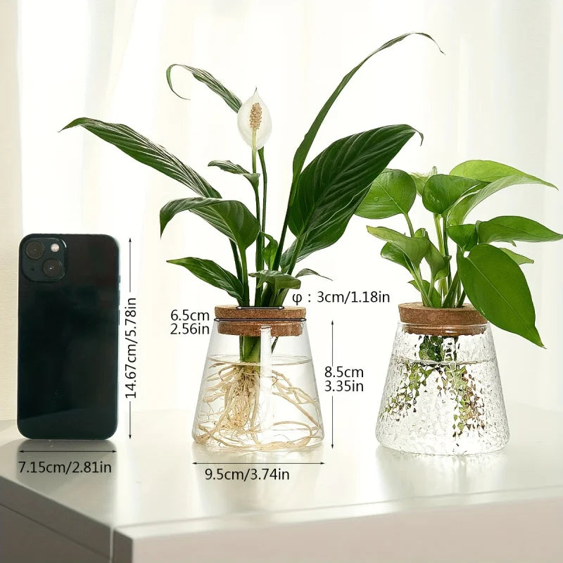 Glass Propagation Bulb Vase with Cork Stopper | Clear or Textured Glass | Hydroponic Rooting Jar for Plant Cuttings