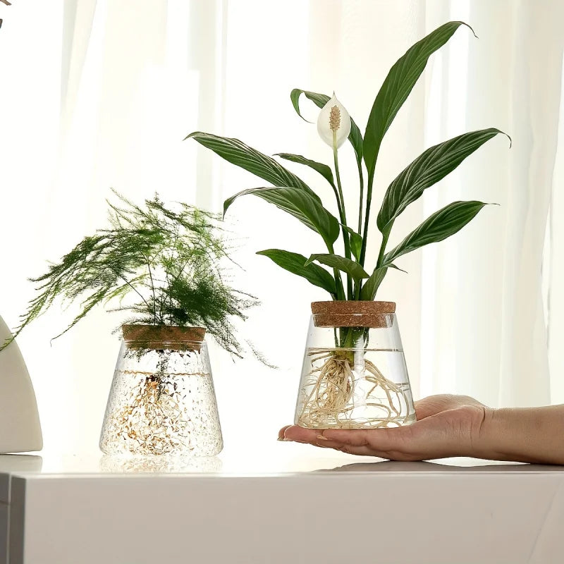 Glass Propagation Bulb Vase with Cork Stopper | Clear or Textured Glass | Hydroponic Rooting Jar for Plant Cuttings