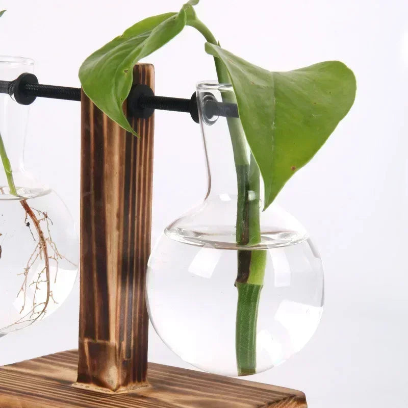 Wood & Glass Propagation Station