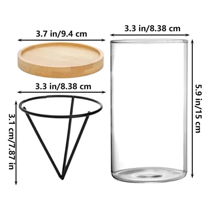 Avocado Tree Growing Kit | Glass Germination Vase with Metal Stand & Bamboo Lid | Watch Your Avocado Sprout Indoors